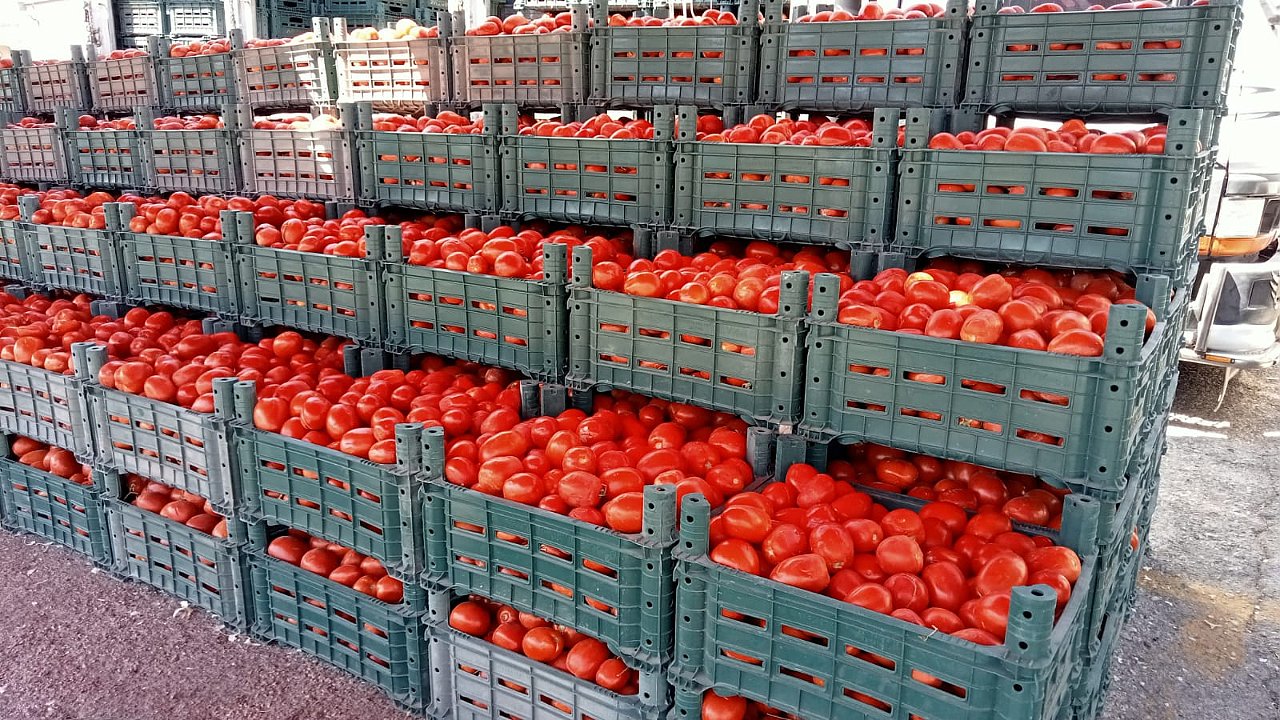 Karaman'da Salçalık Pazarı Kuruldu İşte Fiyatlar!