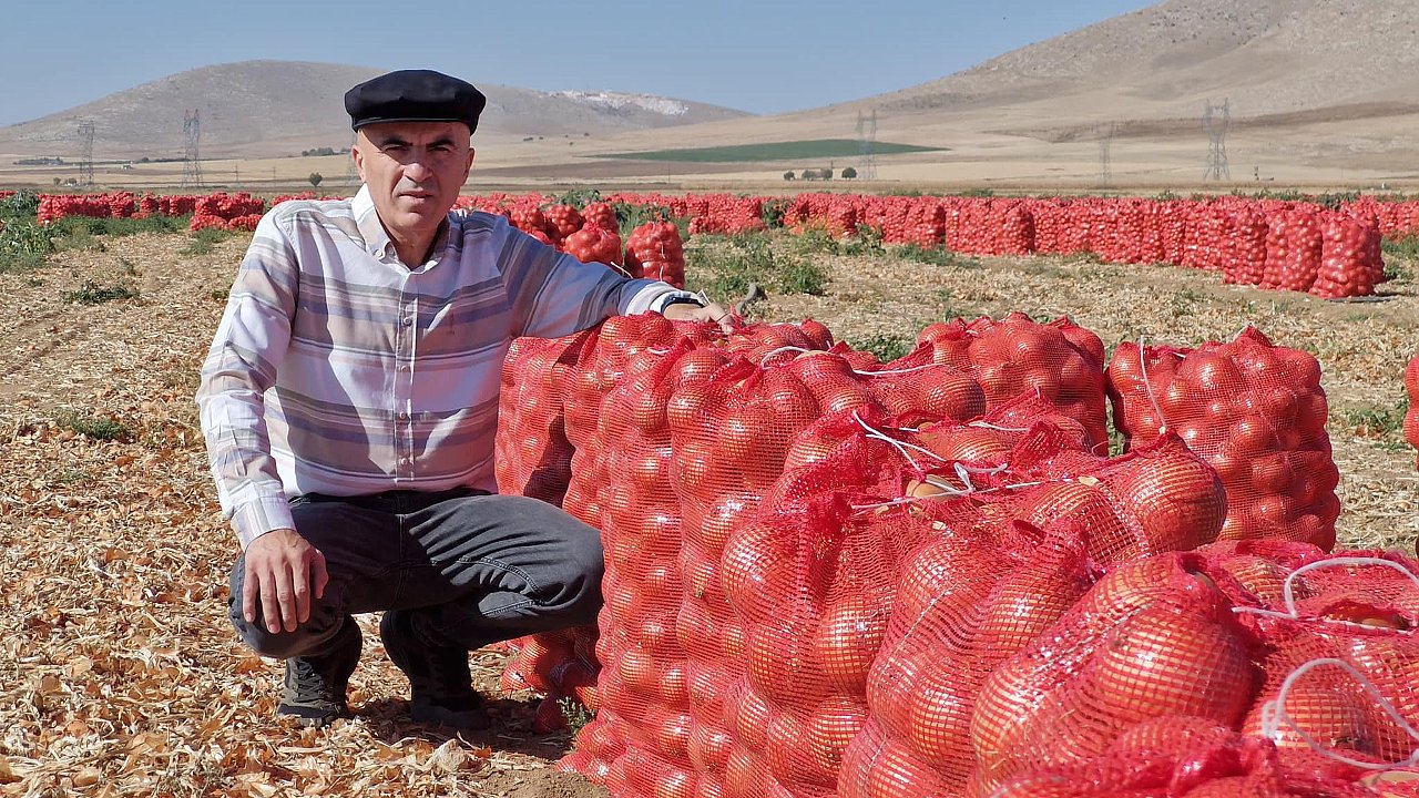 İslihisar Köyünde Soğan Hasadı Sürüyor