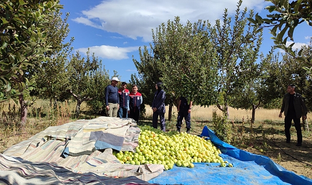 Kaymakam Kütük, Elma Ve Üzüm Hasadına Katıldı