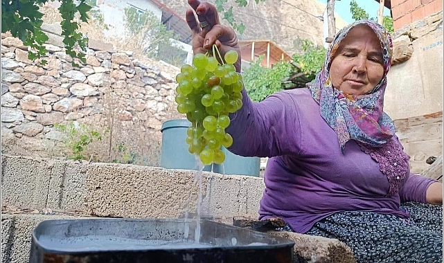 Organik Üzümden Yapılan Çerezlik Çeşitler Kış İçin Hazırlanıyor