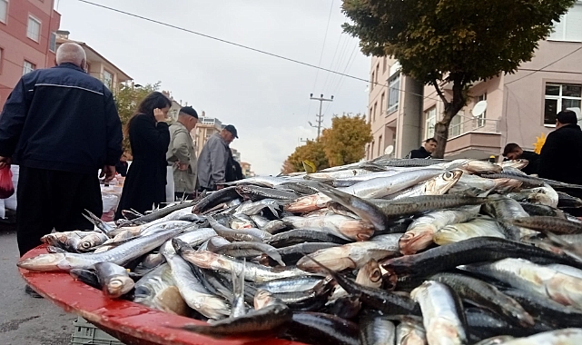 Hamsinin Fiyatı Düşmeye Devam Ediyor