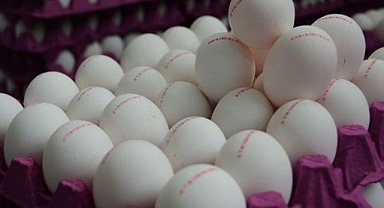 Yumurta Fiyatları Artıyor: Peki Karaman'da Yumurta Ne Kadar?