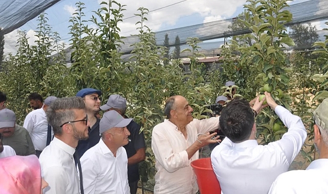 Ermenek’te Sezonun İlk Elma Hasadı Yapıldı