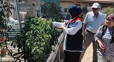 Kendi Kurduğu Serasında Topraksız Tarım Yapıyor