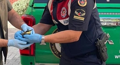 Yaralı Arı Kuşu Tedavisi İçin Koruma Altına Alındı