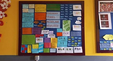 Karaman TOKİ Anadolu Lisesi Öğrencilerinden “Yerel Sözlük” Projesi