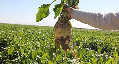 Başkan Erkoyuncu 2025-2026 Kampanya Sezonunu Değerlendirdi