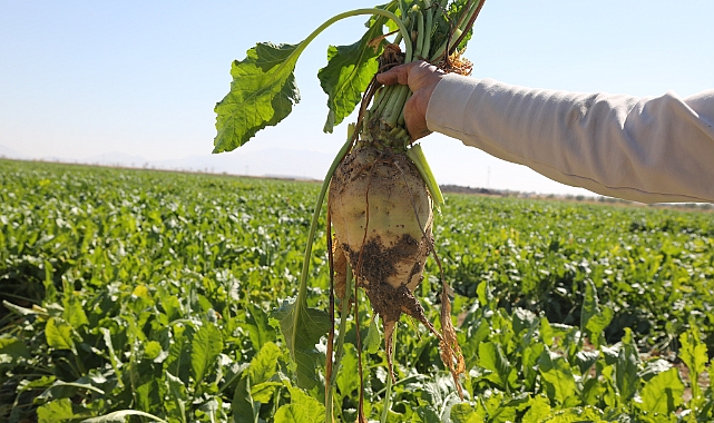 Başkan Erkoyuncu 2025-2026 Kampanya Sezonunu Değerlendirdi