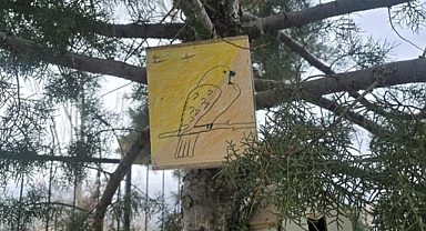 Öğrenciler Kuş Yuvası ve Kedi Evi Yaptı