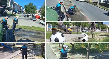 Karaman'da Yabani Otlarla Mücadele Başladı