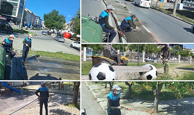 Karaman'da Yabani Otlarla Mücadele Başladı