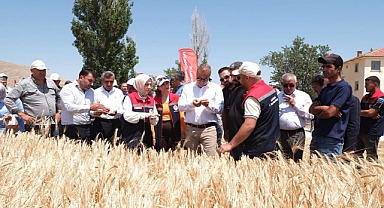 Karaman'da 7 Yerli Ve Milli Arpa Çeşidinin Hasadı Yapıldı