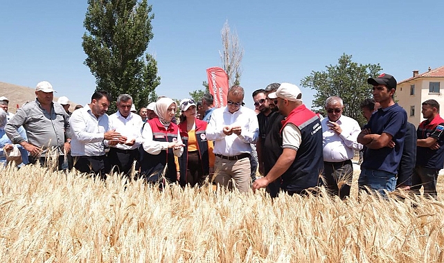 Karaman'da 7 Yerli Ve Milli Arpa Çeşidinin Hasadı Yapıldı