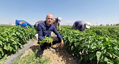Karaman Ziraat Odası Başkanı Bayram: