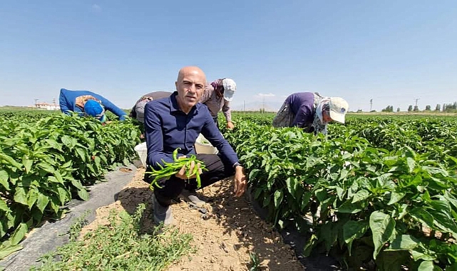 Karaman Ziraat Odası Başkanı Bayram: